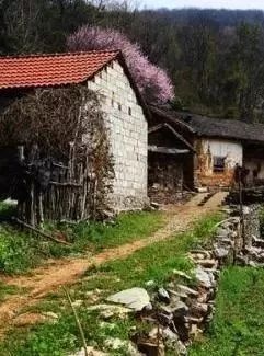 http://s3.ifengimg.com/2018/04/11/3fd50ad4c5a7a9ecd5ec13170130ee13.jpg